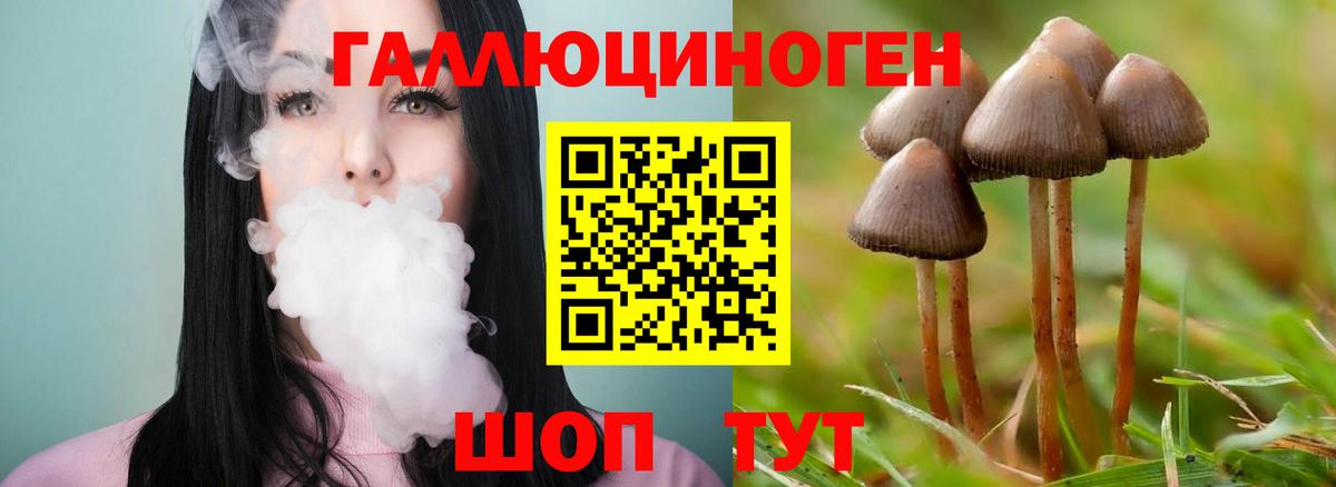 Галлюциногенные грибы Psilocybine cubensis  хочу   Костомукша  Вход с VPN 
