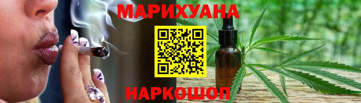 Бошки Шишки планчик Костомукша